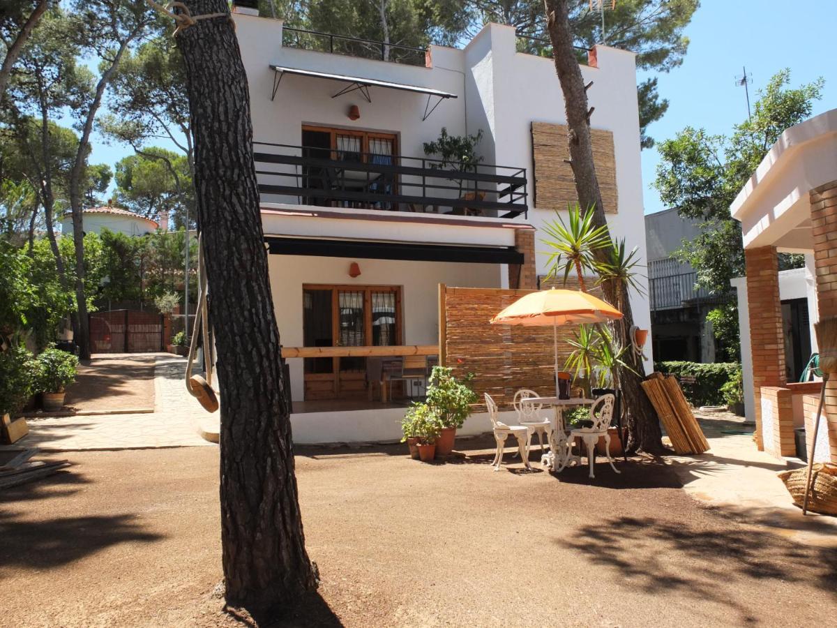 Entre Pinos Pb Beach Apartment تورّيذيمْبَرّا المظهر الخارجي الصورة